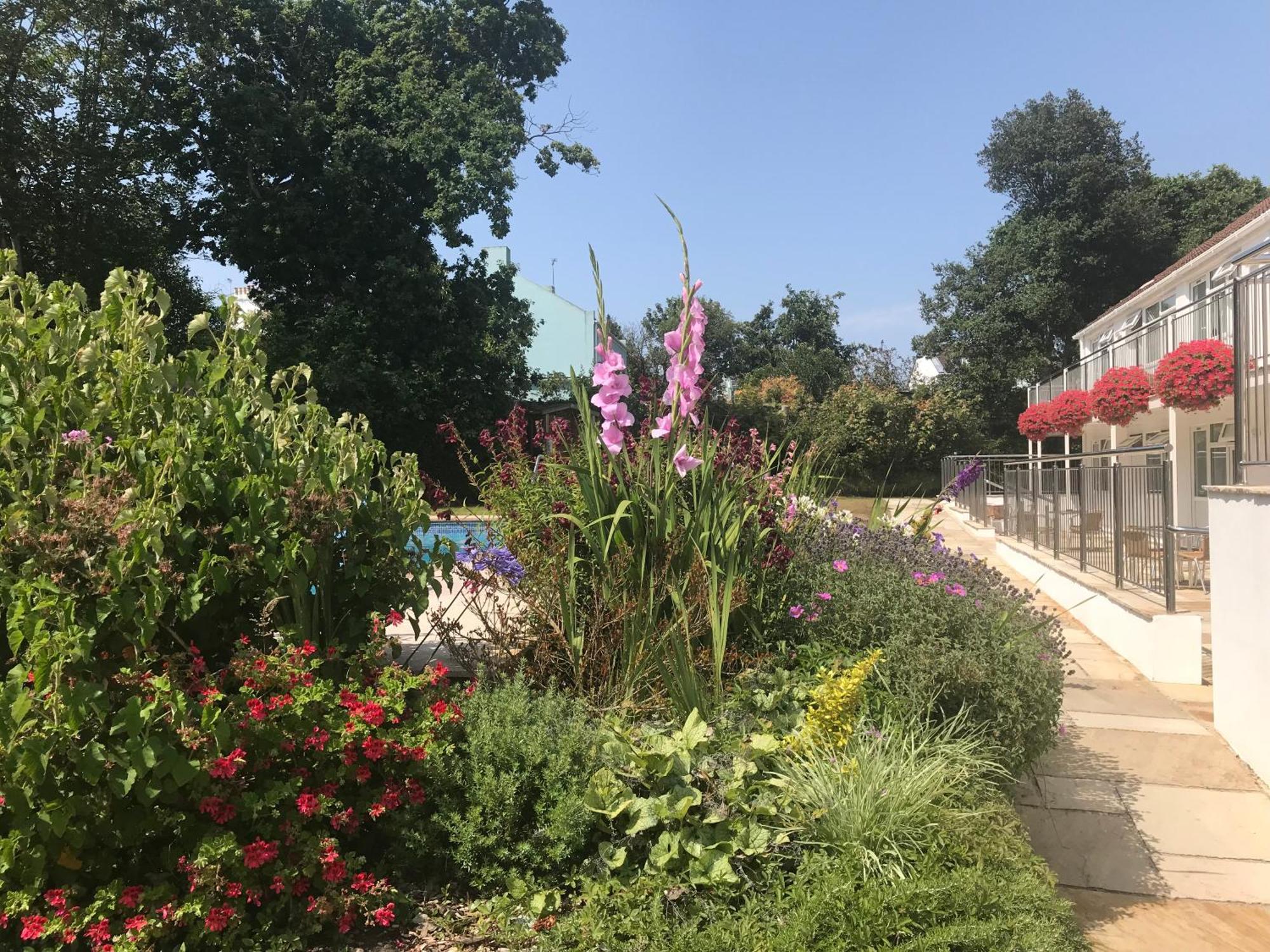 Ilex Lodge Saint Peter Port Εξωτερικό φωτογραφία